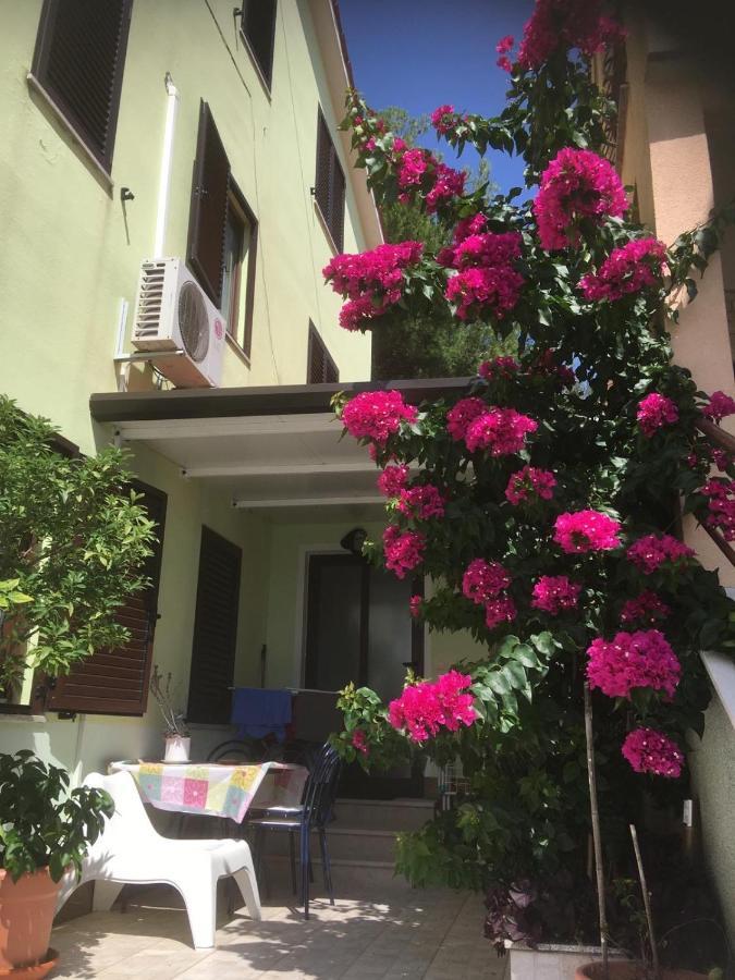 Greenhouse Family Apartments 拉巴克 外观 照片
